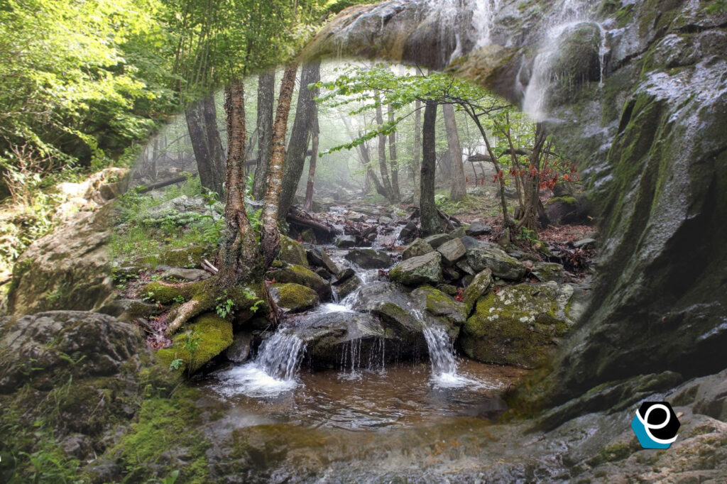 Escape to the Wilderness and Find Adventure at Dark Hollow Falls Trailhead in Stanley, VA
